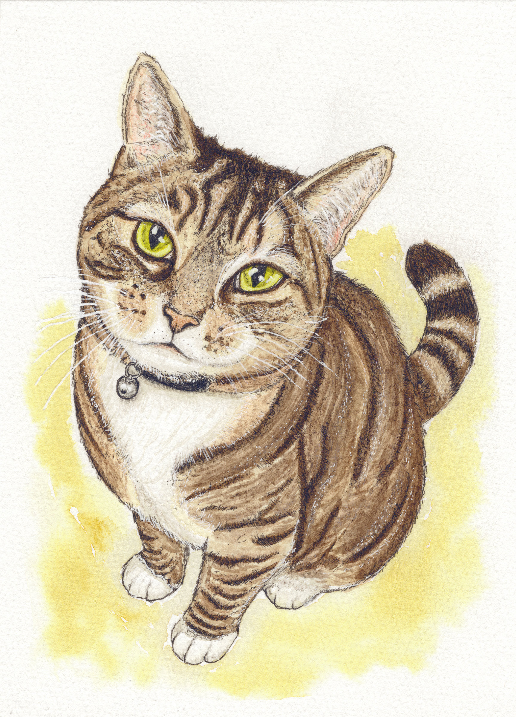 Ink and watercolour portrait of Poppy, a brown tabby cat with yellow/green eyes